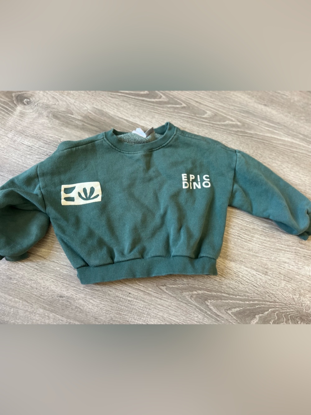 Zara Dark Teal 'Epic Dino' Crewneck Sweatshirt